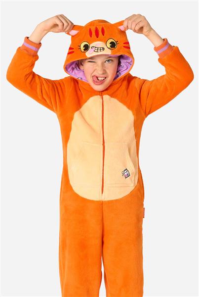 Grote foto kat onesie kind verzamelen overige verzamelingen