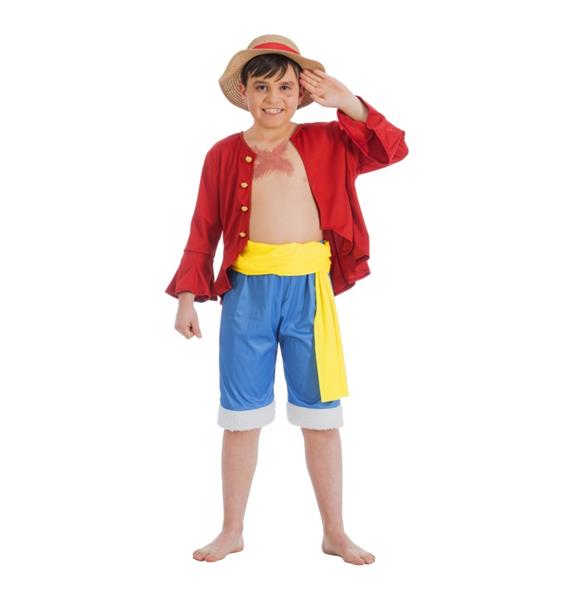 Grote foto monkey d. luffy kostuum jongens verzamelen overige verzamelingen