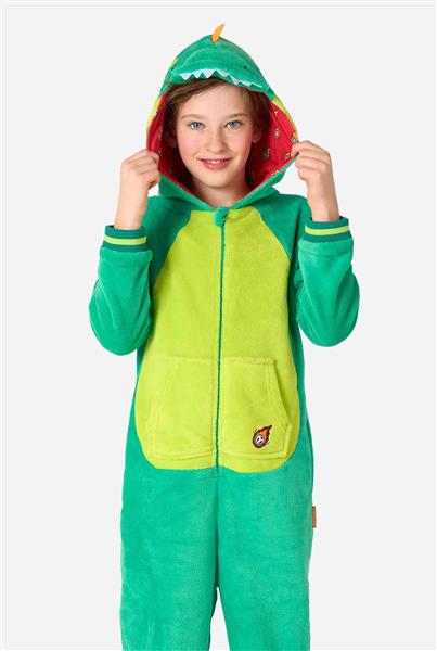 Grote foto dinosaurus onesie kind verzamelen overige verzamelingen