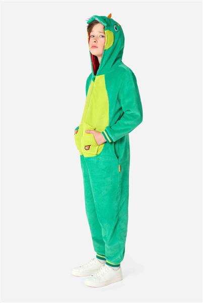 Grote foto dinosaurus onesie kind verzamelen overige verzamelingen