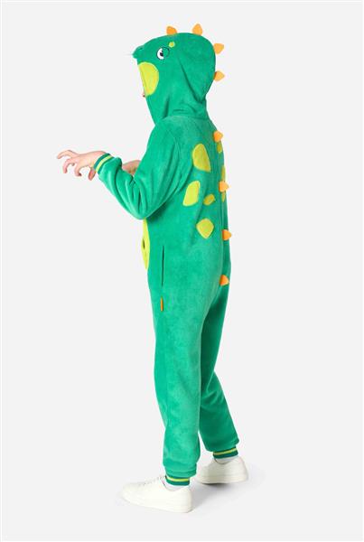 Grote foto dinosaurus onesie kind verzamelen overige verzamelingen