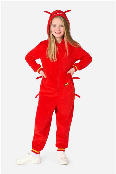 Grote foto kreeft onesie kind verzamelen overige verzamelingen