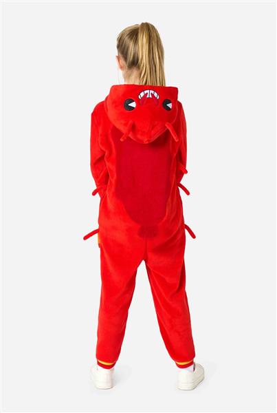 Grote foto kreeft onesie kind verzamelen overige verzamelingen