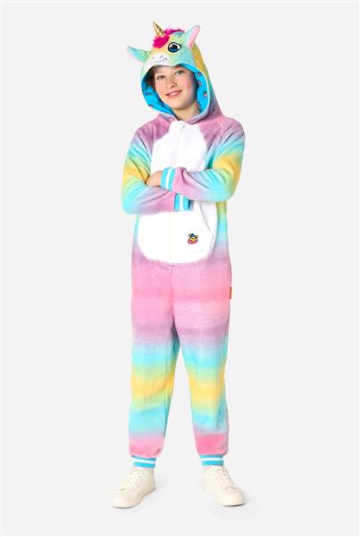 Grote foto unicorn onesie gekleurd kind verzamelen overige verzamelingen