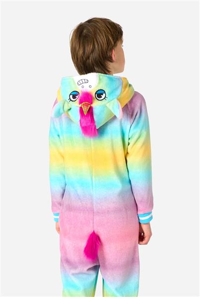 Grote foto unicorn onesie gekleurd kind verzamelen overige verzamelingen