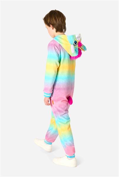 Grote foto unicorn onesie gekleurd kind verzamelen overige verzamelingen