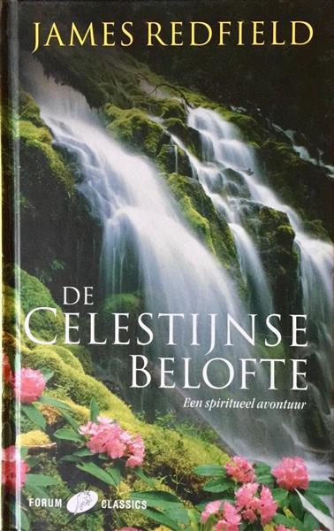 Grote foto de celestijnse belofte boeken overige boeken