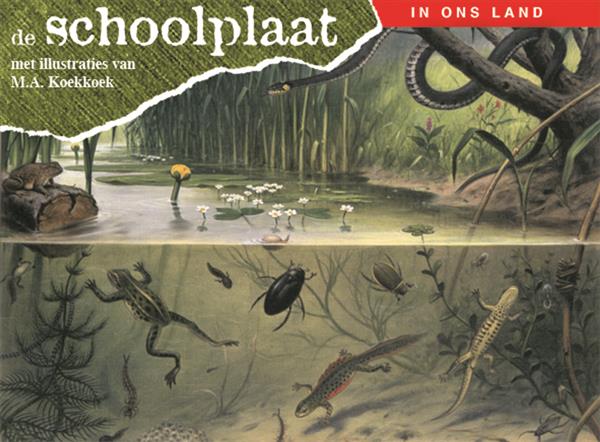 Grote foto de schoolplaat in ons land boeken jeugd 13 jaar en ouder