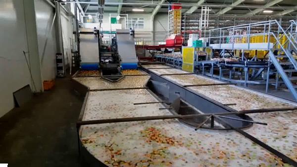 Grote foto aweta rollerstar 6 35 1 compleet met 2 palletiseerders omsnoeringsmachine en dozenbuffer agrarisch tuinbouw