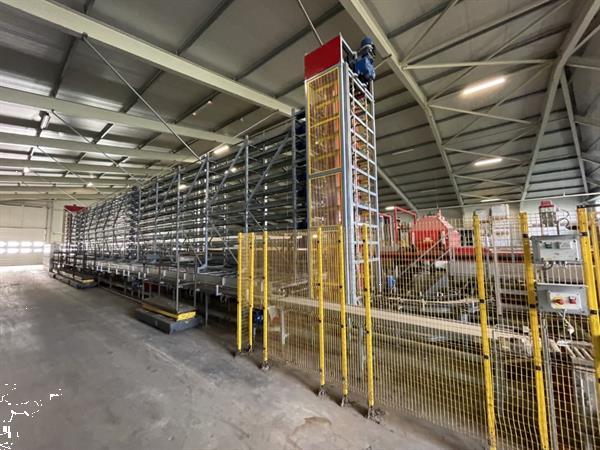 Grote foto aweta rollerstar 6 35 1 compleet met 2 palletiseerders omsnoeringsmachine en dozenbuffer agrarisch tuinbouw