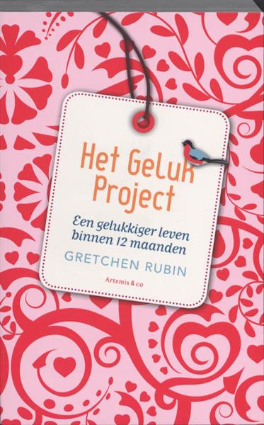 Grote foto het geluk project boeken literatuur