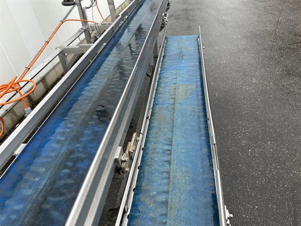 Grote foto seda dubbele transportband voor het spoelen van pompoenen en kisten met bladgroenten agrarisch tuinbouw