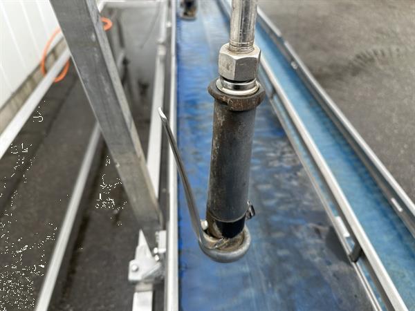 Grote foto seda dubbele transportband voor het spoelen van pompoenen en kisten met bladgroenten agrarisch tuinbouw