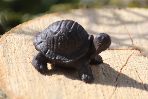 Grote foto schildpad klein gietijzer sg332 tuin en terras tuindecoratie