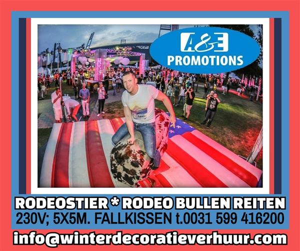 Grote foto verhuur usa vrijheidsbeeld assen groningen hobby en vrije tijd feestartikelen