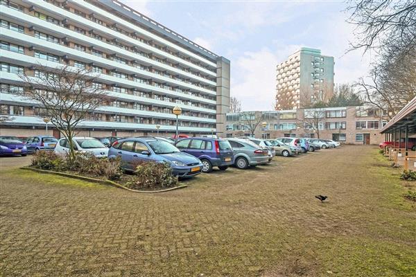 Grote foto te huur appartement granaathorst den haag huizen en kamers appartementen en flat