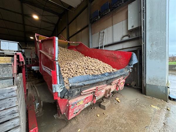 Grote foto grimme rh24 60 combi stortbunker met voorsorteerder en inspectietafel agrarisch kisten