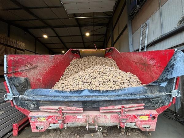 Grote foto grimme rh24 60 combi stortbunker met voorsorteerder en inspectietafel agrarisch kisten