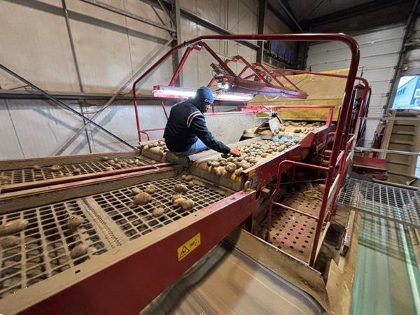 Grote foto grimme rh24 60 combi stortbunker met voorsorteerder en inspectietafel agrarisch kisten
