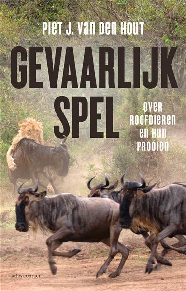 Grote foto gevaarlijk spel boeken hobby en vrije tijd