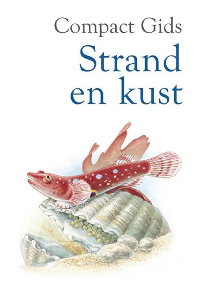 Grote foto strand en kust compactgids boeken hobby en vrije tijd