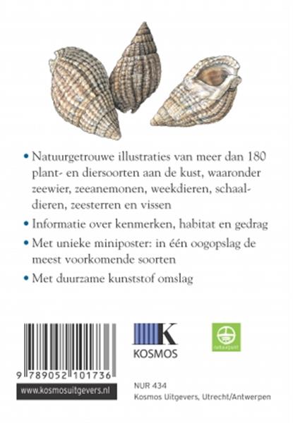 Grote foto strand en kust compactgids boeken hobby en vrije tijd