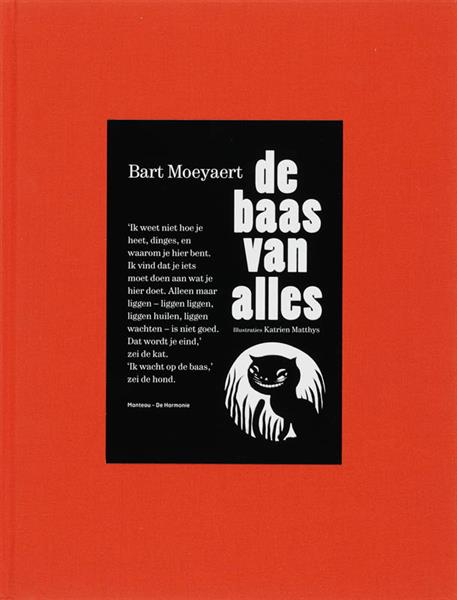 Grote foto de baas van alles boeken jeugd 13 jaar en ouder