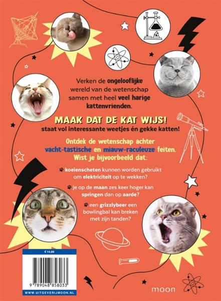 Grote foto maak dat de kat wijs boeken jeugd 13 jaar en ouder