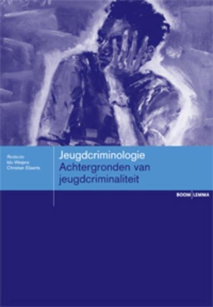 Grote foto jeugdcriminologie boeken wetenschap