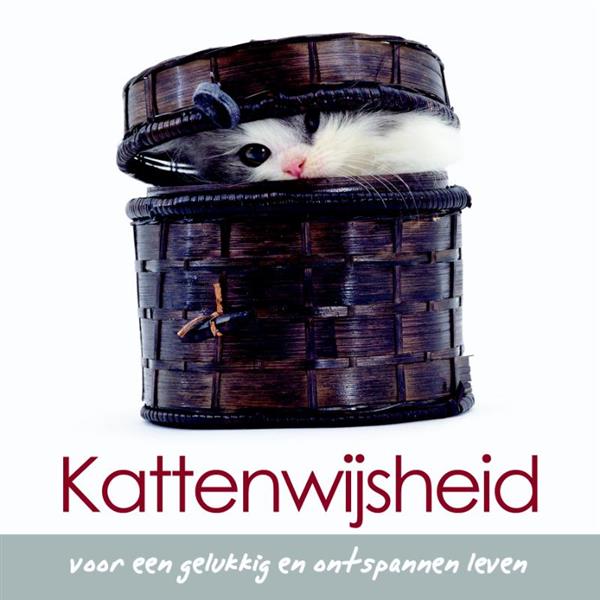 Grote foto kattenwijsheid boeken stripboeken