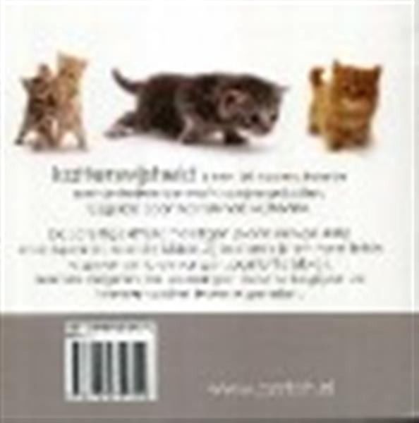 Grote foto kattenwijsheid boeken stripboeken