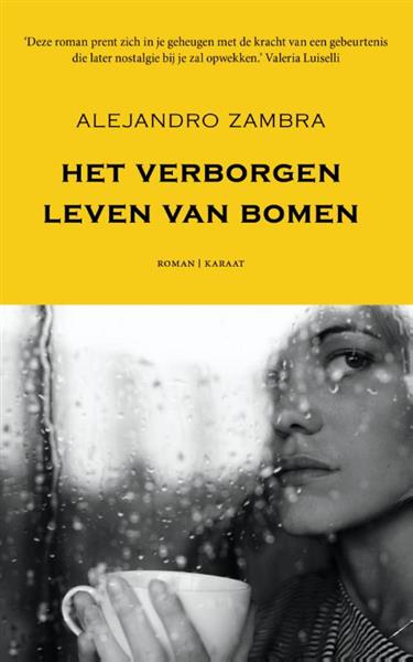 Grote foto het verborgen leven van bomen boeken overige boeken