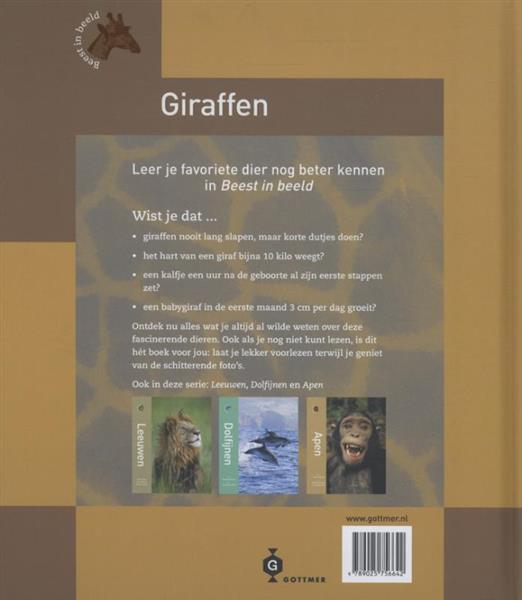 Grote foto giraffen beest in beeld boeken overige boeken