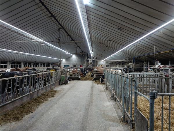 Grote foto heavy duty industrie led lichtlijn 50 meter 550w 94.000 lumen zakelijke goederen overige zakelijke goederen