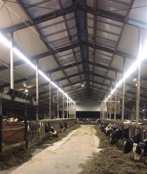 Grote foto heavy duty industrie led lichtlijn 50 meter 550w 94.000 lumen zakelijke goederen overige zakelijke goederen