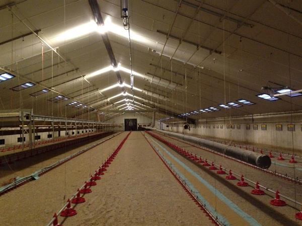 Grote foto 150w 24.000 lumen voc d04g 150w superpower led multi focus schijnwerper gevel hal plein verlichtin zakelijke goederen overige zakelijke goederen