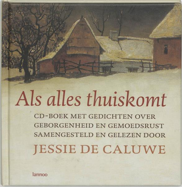 Grote foto als alles thuiskomt boeken overige boeken