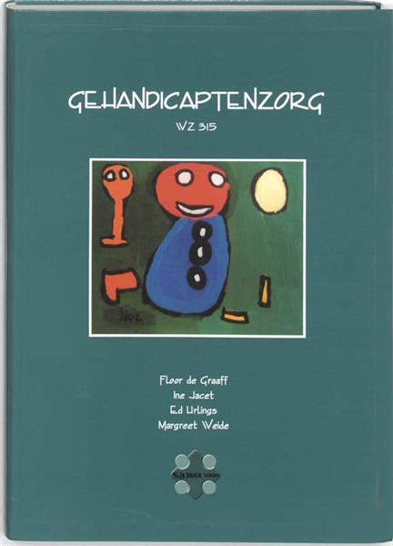 Grote foto gehandicaptenzorg wz 315 boeken overige boeken