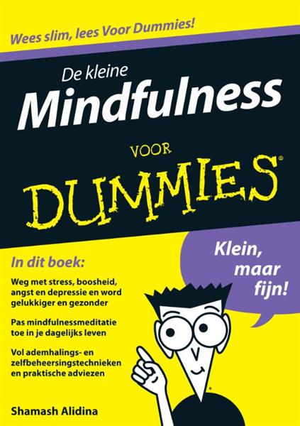 Grote foto de kleine mindfulness voor dummies voor dummies boeken psychologie