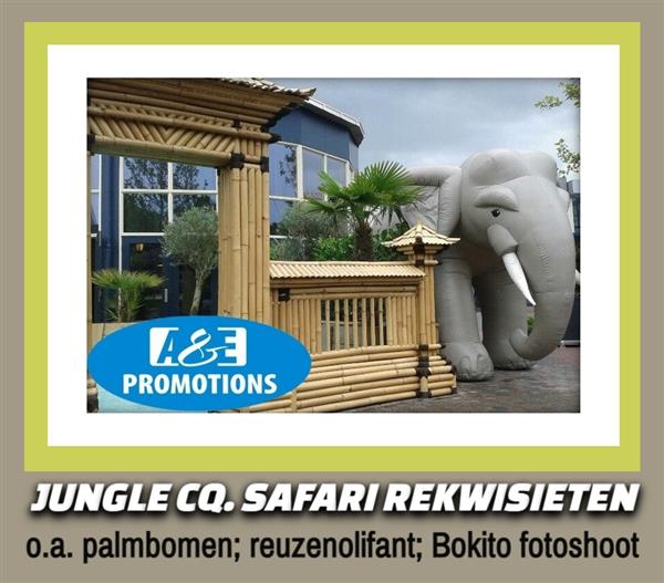 Grote foto jungle feest verhuur groningen assen t. 0599416200 diensten en vakmensen bedrijfsuitjes