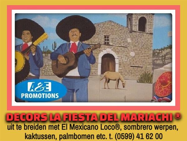 Grote foto mexico feest items verhuur groningen assen emmen diensten en vakmensen feesten
