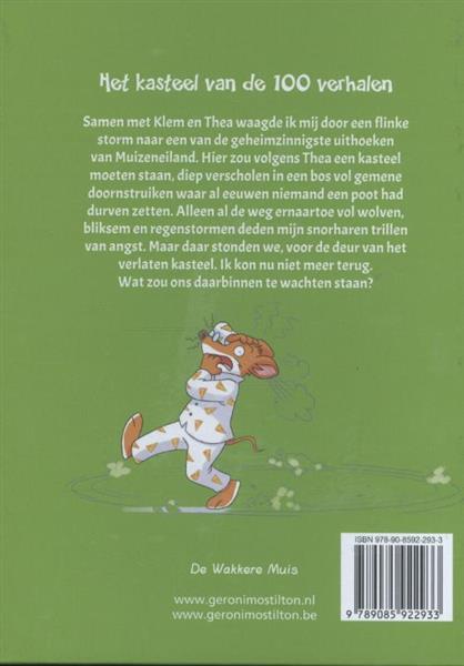 Grote foto het kasteel van de 100 verhalen groene reeks 1 boeken jeugd 13 jaar en ouder