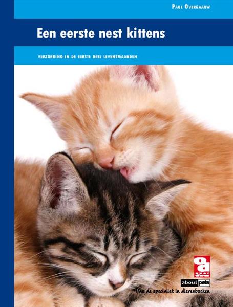 Grote foto over dieren een eerste nest kittens over dieren boeken hobby en vrije tijd