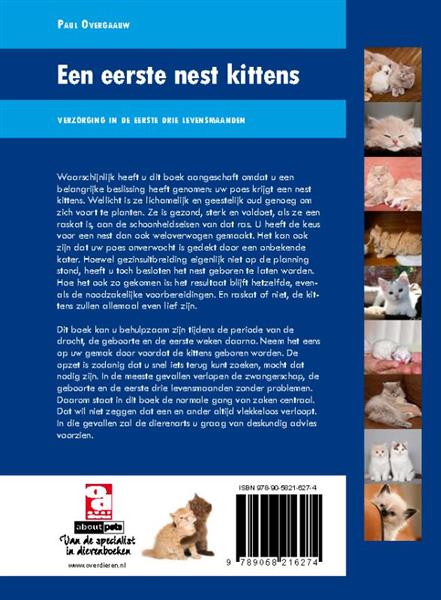 Grote foto over dieren een eerste nest kittens over dieren boeken hobby en vrije tijd