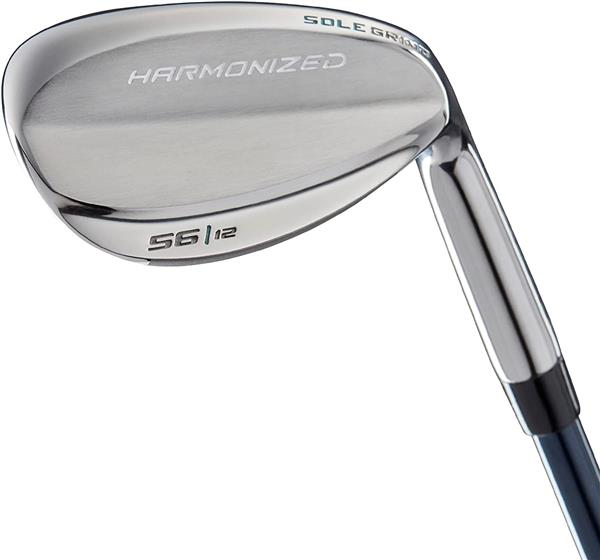 Grote foto wilson magnolia golfset dames graphite 1 inch verlengd sport en fitness golf