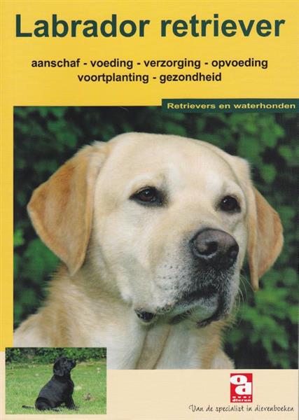 Grote foto de labrador retriever over dieren boeken hobby en vrije tijd
