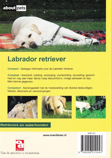 Grote foto de labrador retriever over dieren boeken hobby en vrije tijd