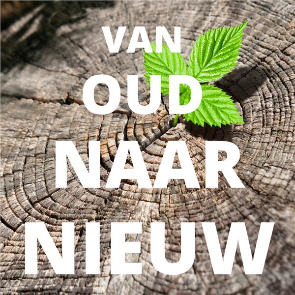 Grote foto voel je je moer gespannen of uit balans diensten en vakmensen alternatieve geneeskunde en spiritualiteit