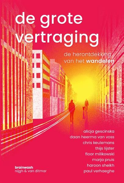 Grote foto de grote vertraging boeken literatuur