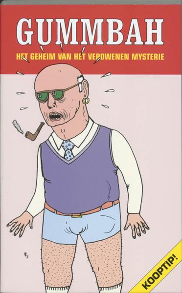 Grote foto het geheim van het verdwenen mysterie boeken stripboeken